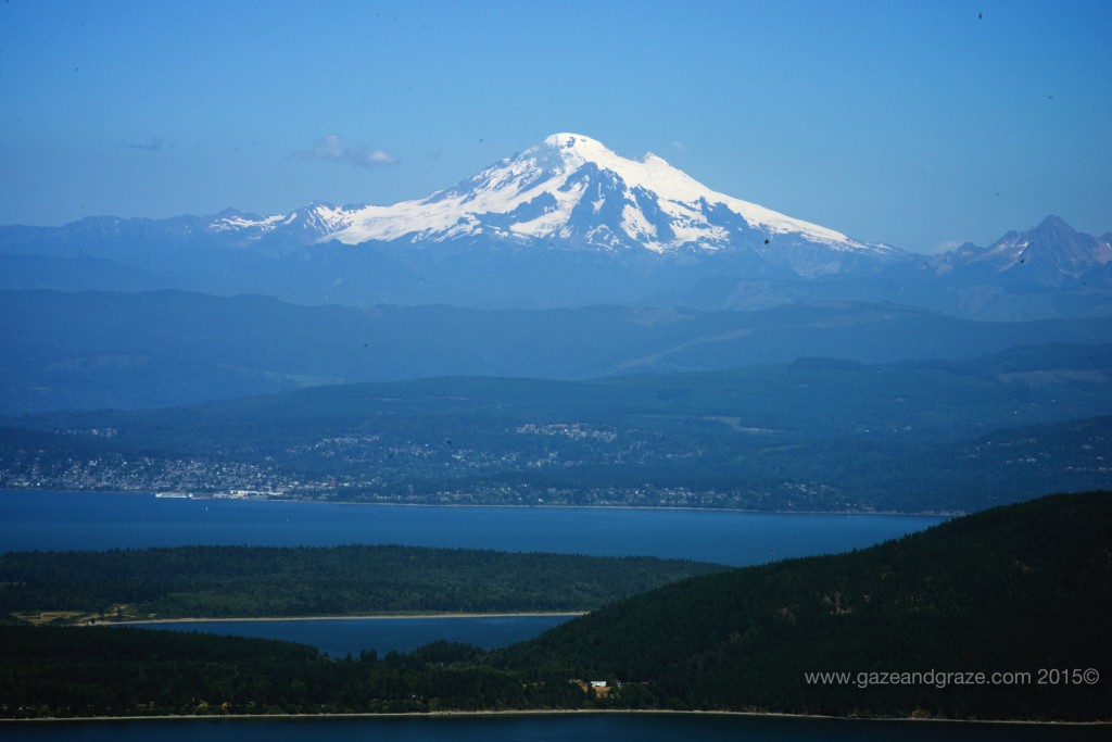 Mt Constitution Observation Tower