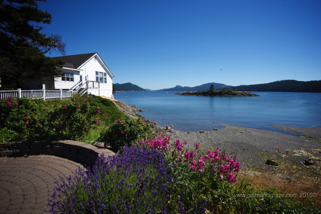 Orcas Island Main St.
