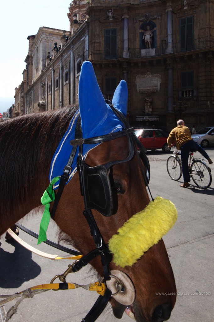 Horse at the Piazza Vigliana