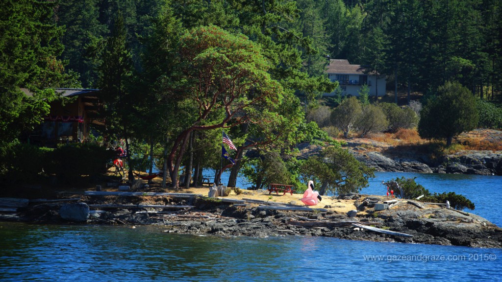 San Juan Islands view