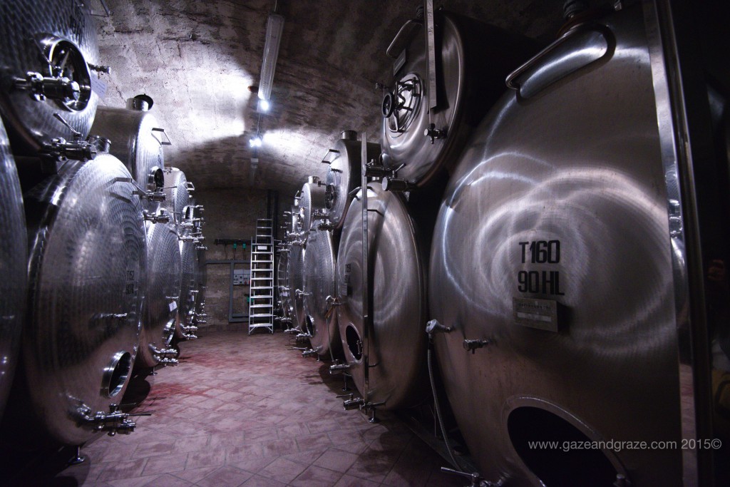 A visit to St. Paul's winery in the Alto Adige