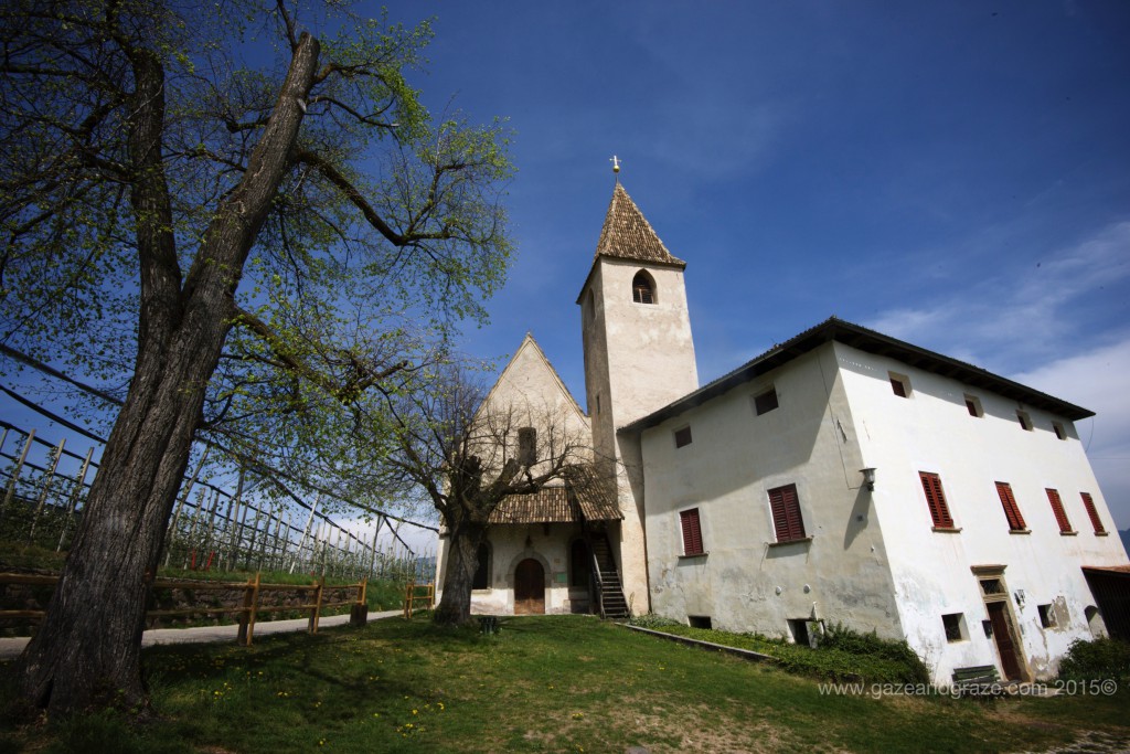 A church among the vines in the Alto Adige
