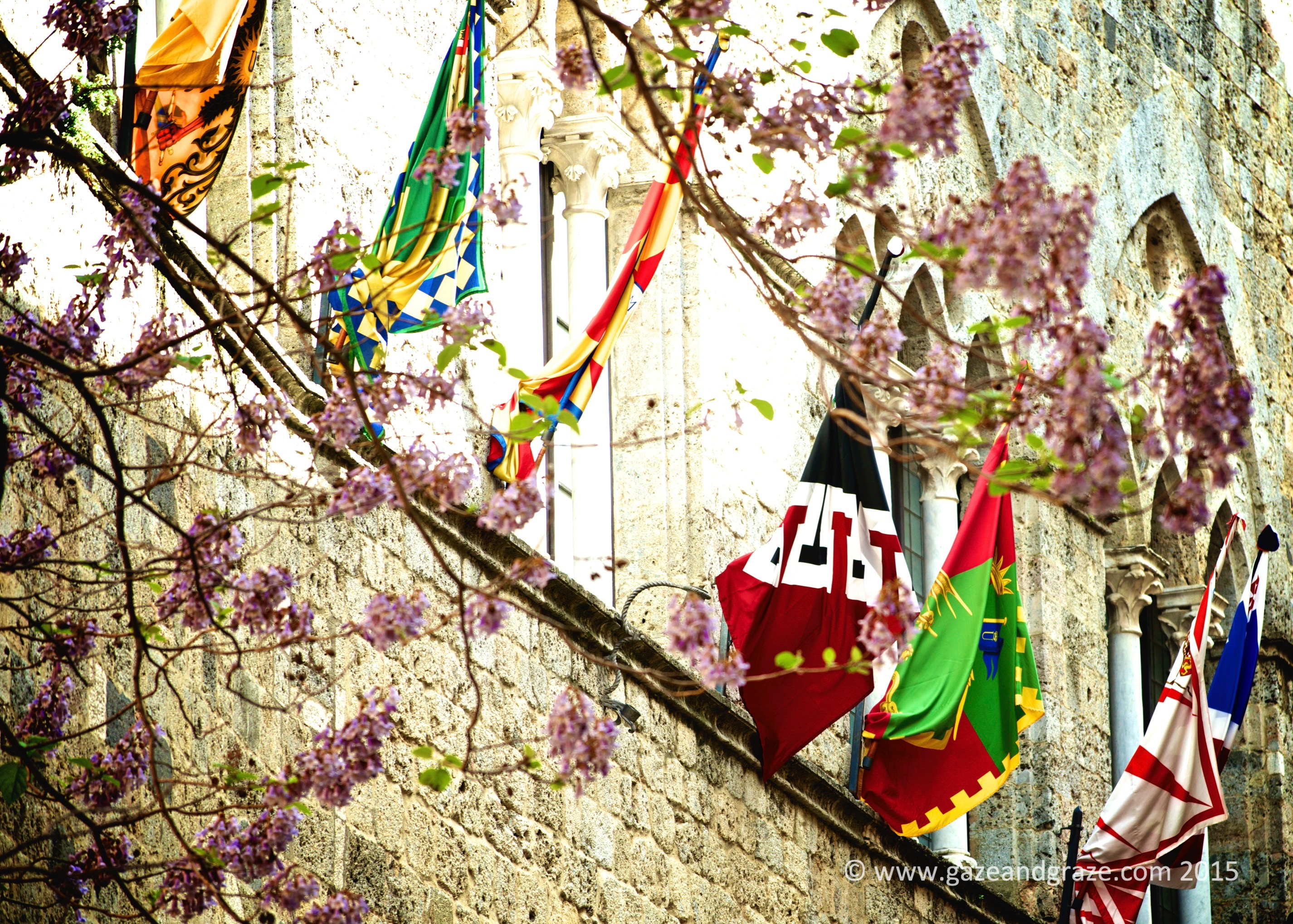 Siena's flags