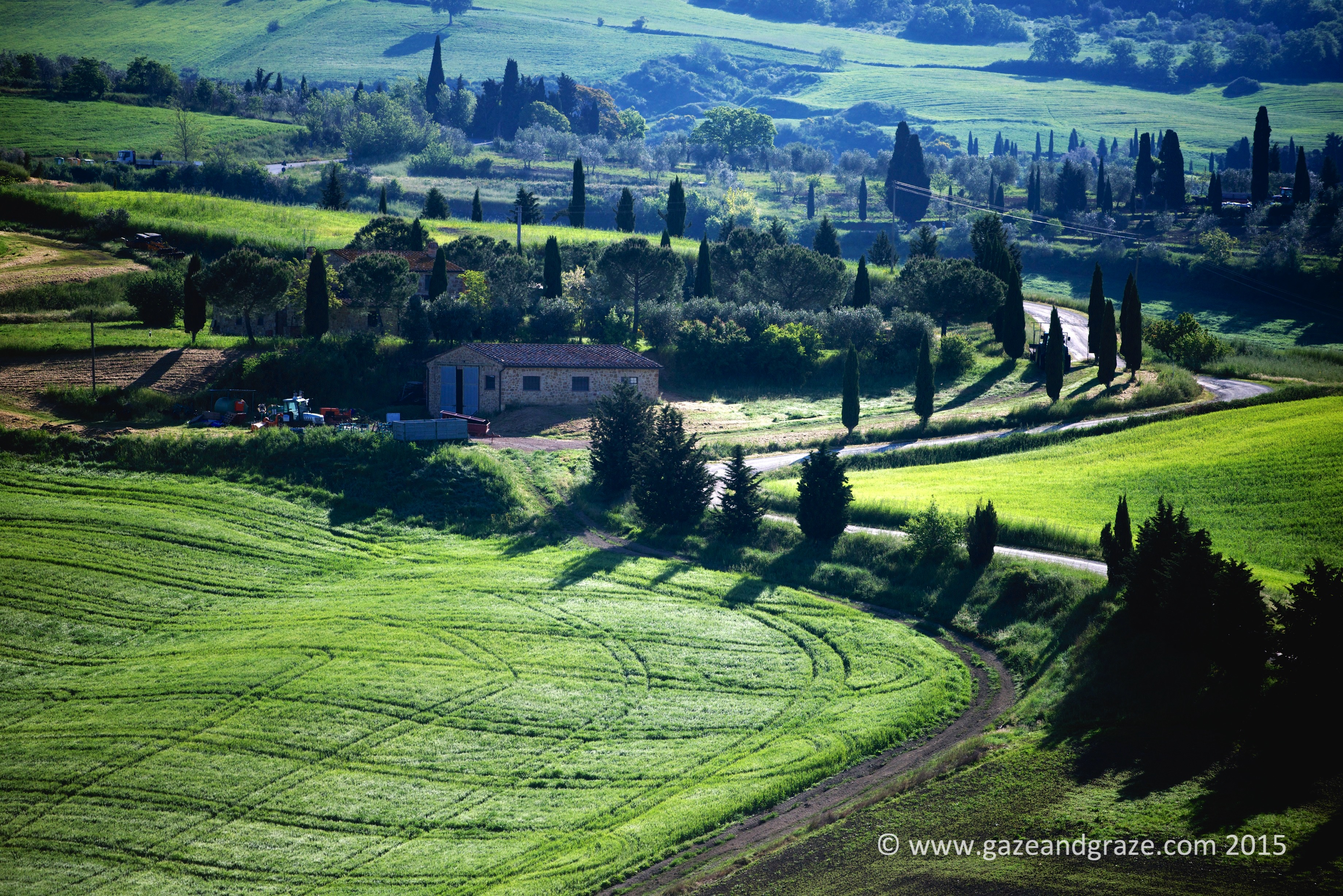 Another iconic tuscan scene