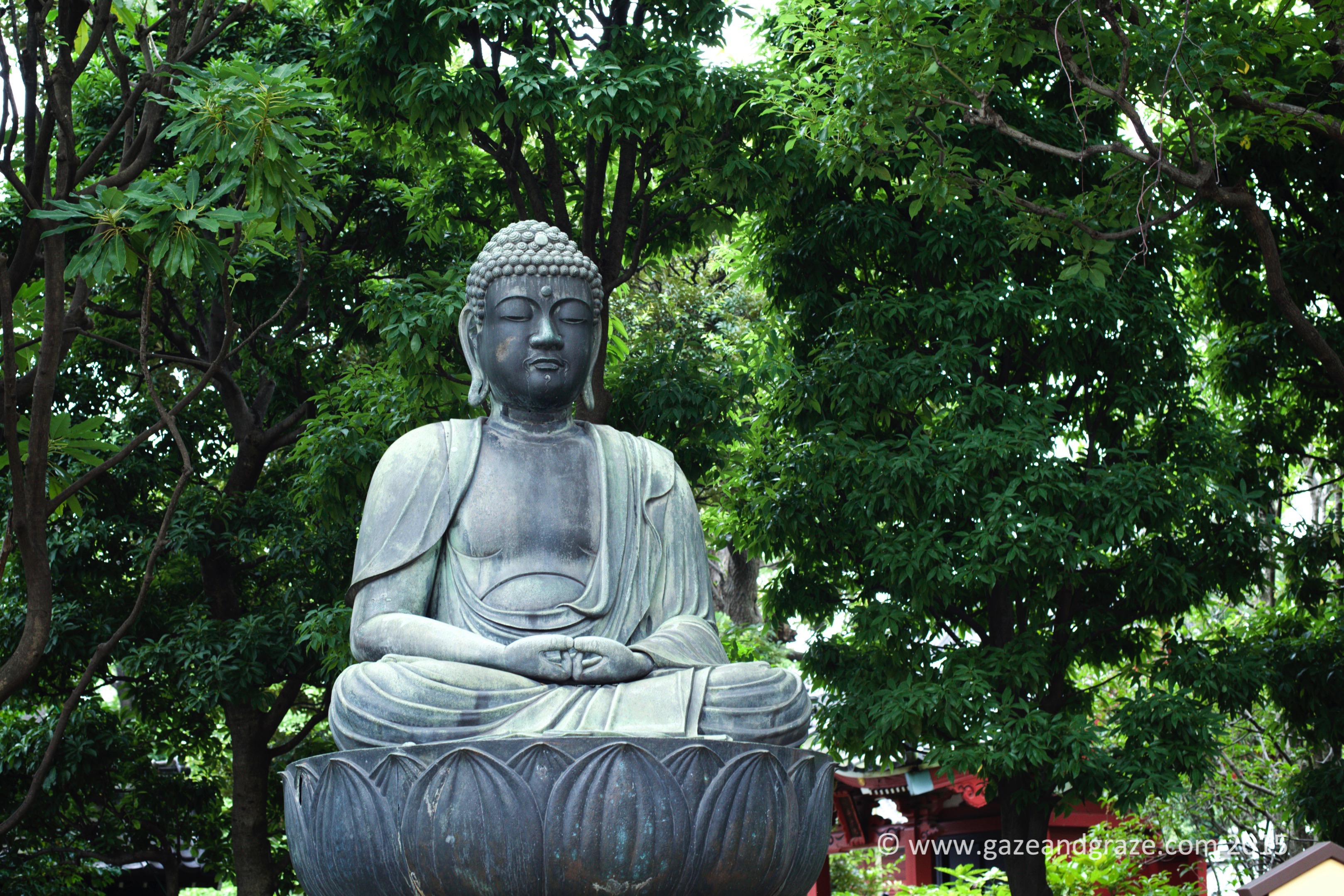 Buddha statue in the garden