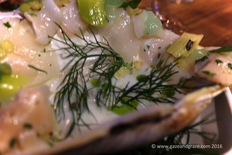 Geoduck and scallop crudo