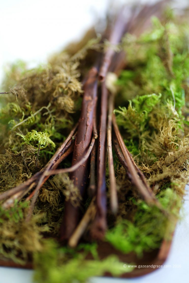 Chocolates - beautifully made to look like twigs