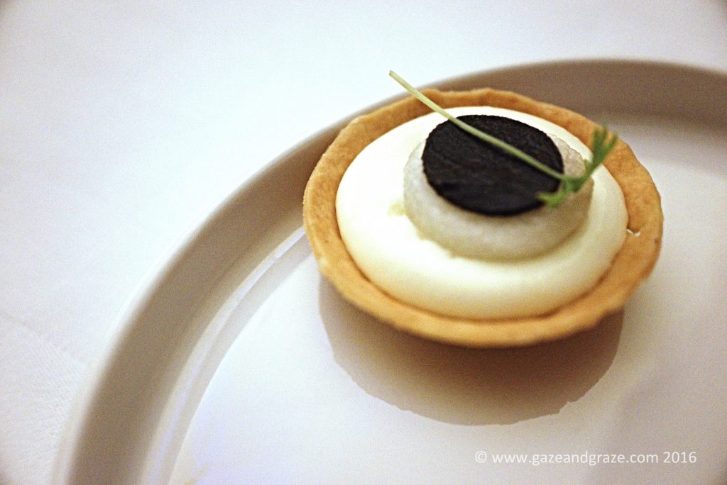 Parmesan Tartelette