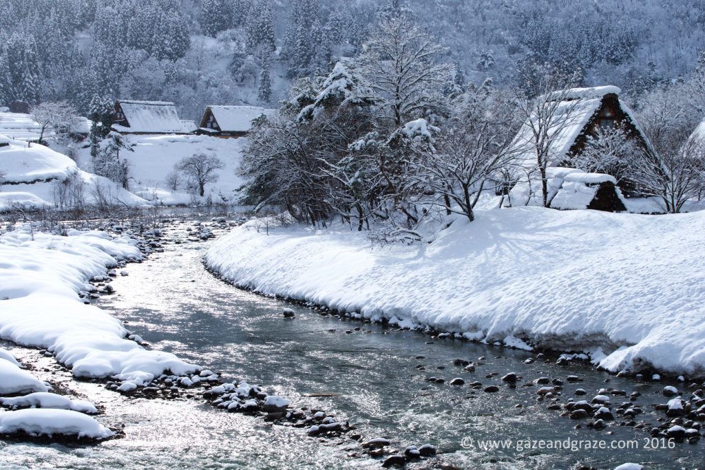 The Shogawa River runs through Shirakawa-go