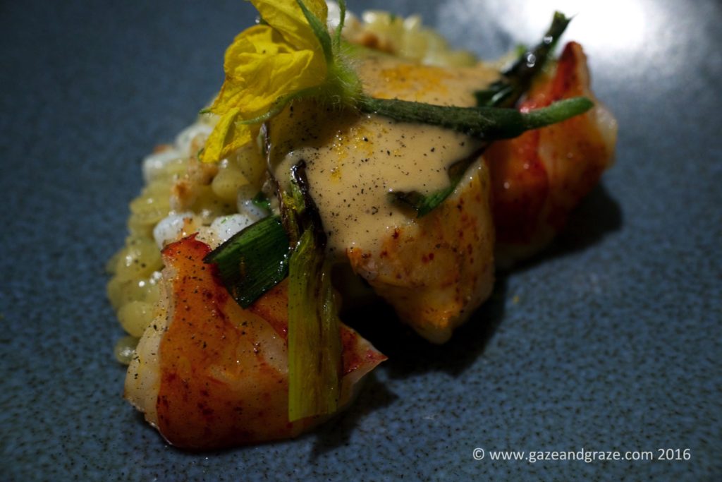 Maine Lobster