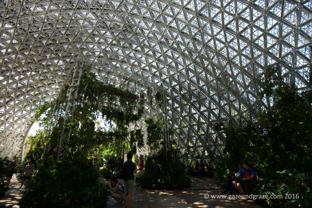 A nice entry to the main Bayfront Plaza section of the event
