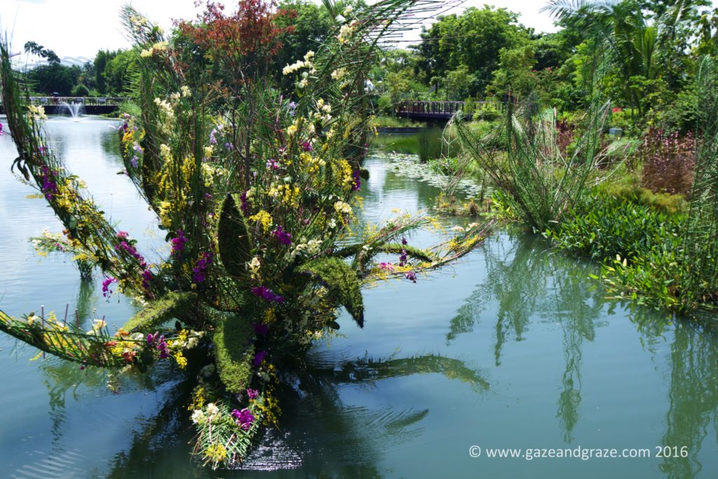 Twirling flowers in the water