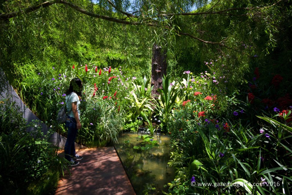 This one won the People's Favourite Award