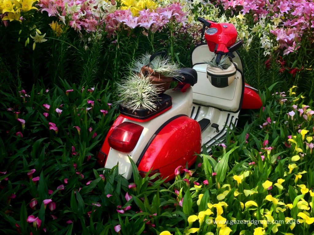 A decorated vespa set amidst the lilies in Lilytopia