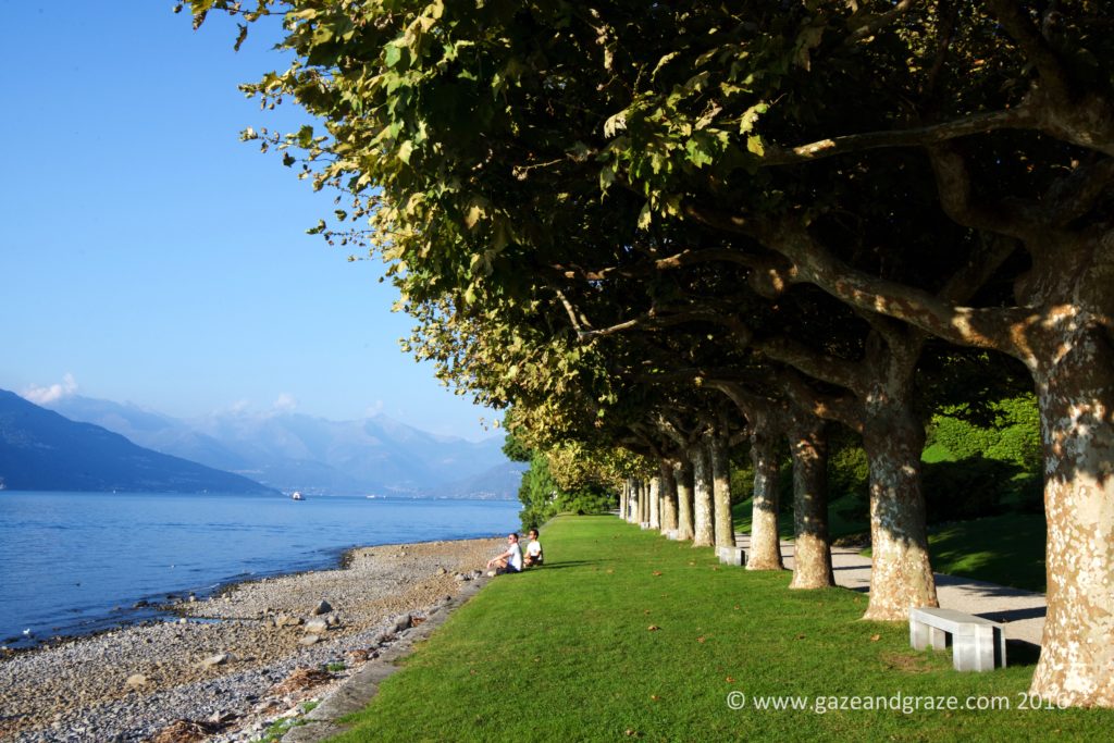 Lake Como's gardens