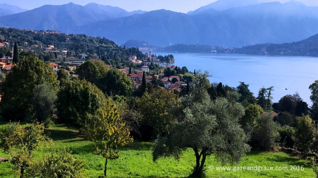Lake Como view