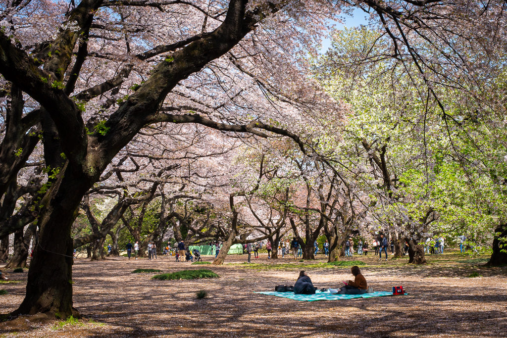 Shinjuku Garden