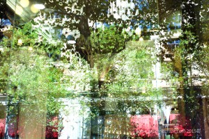 Melbourne city walk