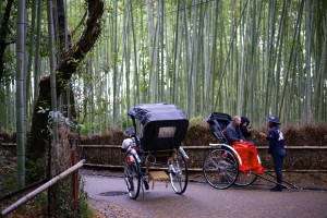 Arashiyama rickshaws