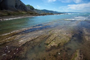 Flysch rocks