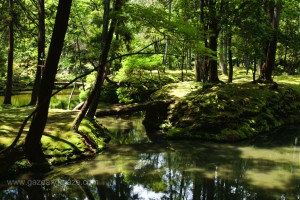 Kokera, Kyoto's Moss Temple
