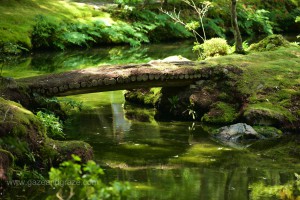 Kyoto's Kokera moss temple