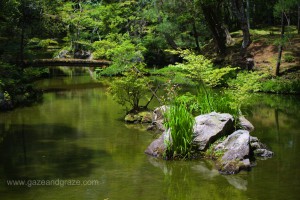 Kyoto's Kokedera moss temple