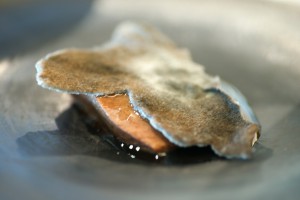 Mugaritz food