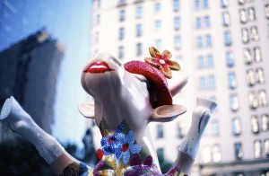 New York cow
