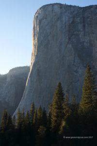 Yosemite National Park