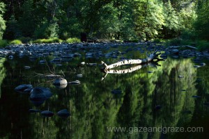 Yosemite