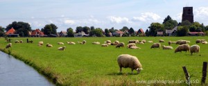 Waterland