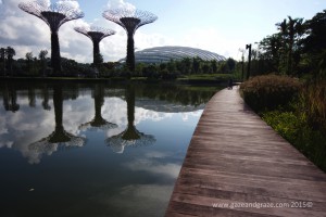 Gardens by the Bay