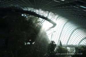 Singapore glass domes