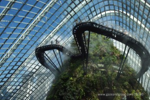 Singapore glass domes