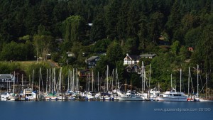 Bainbridge Island marina