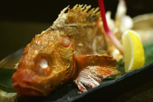 Tamashii robatayaki