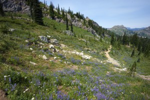 Nice walk on Mt. Rainier