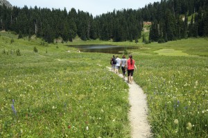 Nice walk on Mt. Rainier