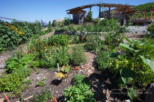 Beacon Food Forest