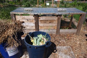 Beacon Food Forest