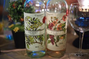 Dogajolo Tuscan blend wines