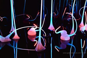Seattle Center Chihuly exhibit