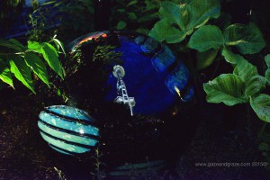 Seattle Center Chihuly garden