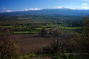 Cusumano Mt. Etna view from its vineyard