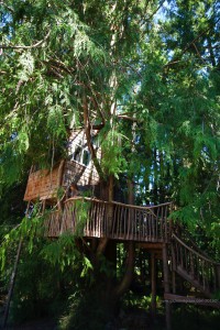 Orcas Island Pottery tree house