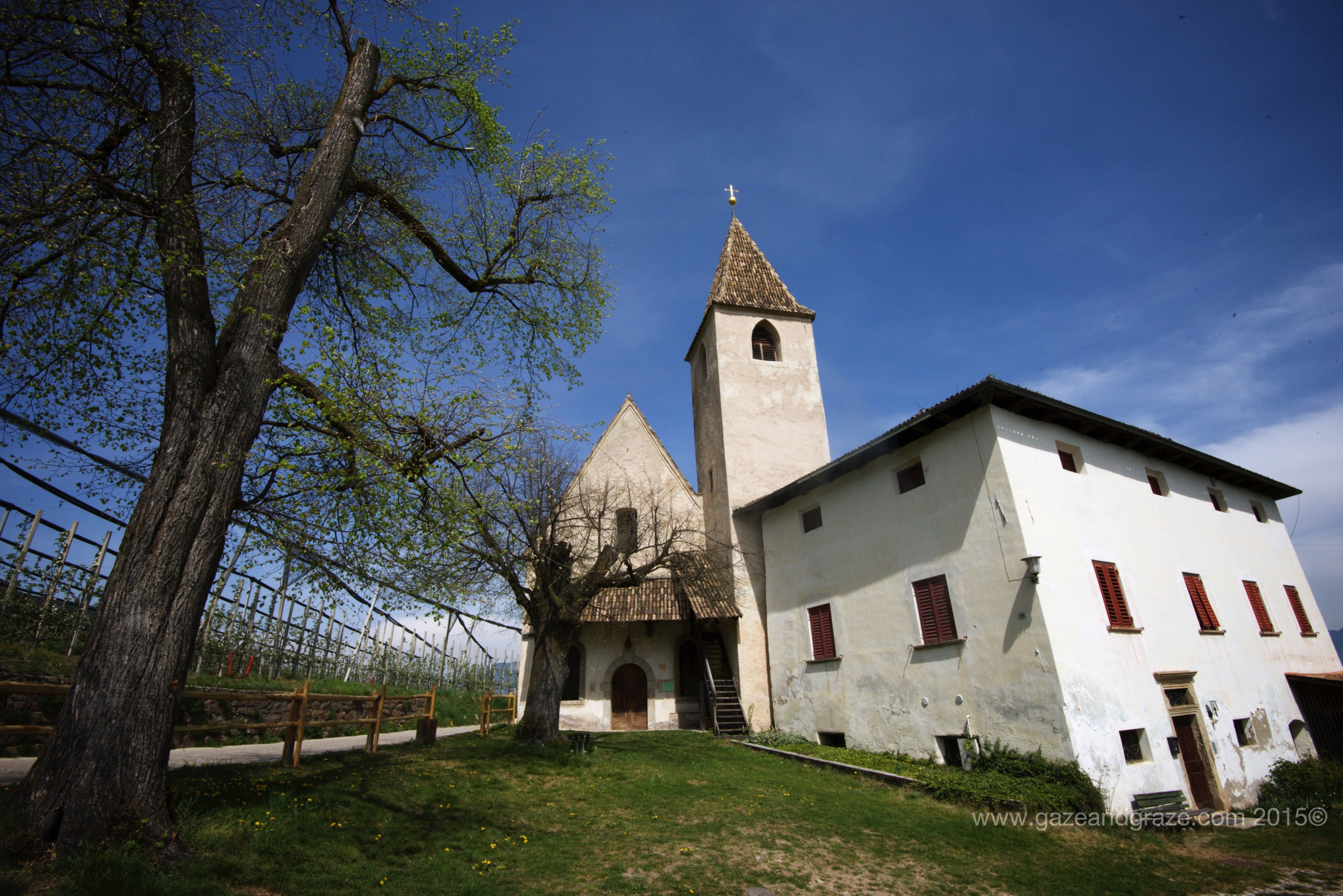 A church among the vines in the Alto Adige