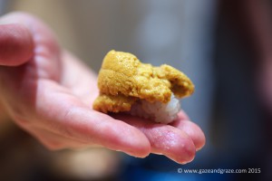 Red sea urchin sushi