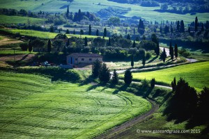 Another iconic tuscan scene