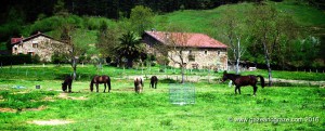 Asador Etxebarri